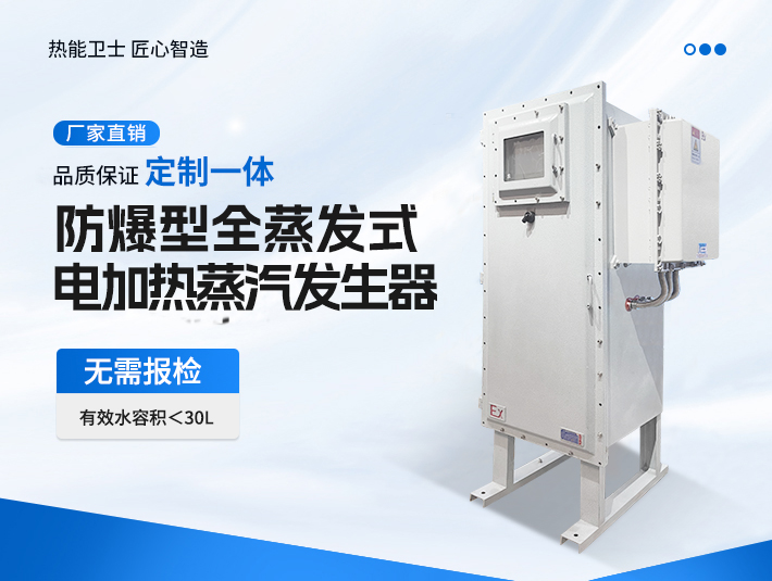 定制一體防爆全蒸發(fā)式電加熱蒸汽發(fā)生器